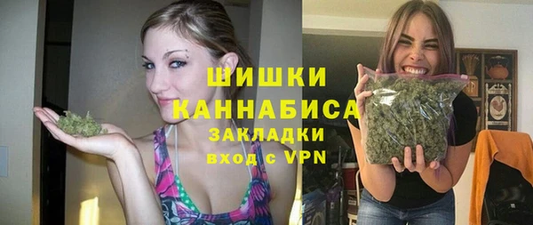 МДПВ Бронницы