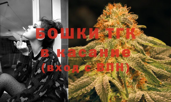 гидра Тавда
