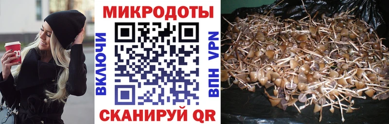 Псилоцибиновые грибы мицелий Кущёвская